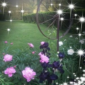 Meet your Posher, Beverly